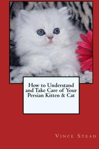 Caring for a Persian cat's fur