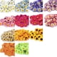 thumbnail image 2 of 100X Seda Cabezas De Flores Artificial Margarita Gerbera Para DIY Boda Rosa Roja Sunnimix Gerbera artificial flores de seda de las cabezas, 2 of 2