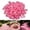 E:150PC Pink, variant on Glow in The Dark Rocks for Garden, Colorful Outdoor Landscape Stones - Luminous Pebbles & Glowing Stones for Night Pathway, Walkway, Driveway, Fish Tank, Aquarium Decor