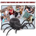 thumbnail image 4 of Remote Control Spider Scary Wolf Spider Robot Realistic Novelty Prank Toys Gifts, 4 of 8