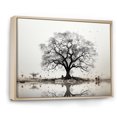 thumbnail image 2 of Designart "Subdued Grey Baobab IV" Tree Baobab Floater Framed Canvas Prints, 2 of 5