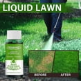 thumbnail image 2 of 2 Pcs Engrais pour Plantes Liquide Solution Nutritive Efficace pour Pelouse, 2 of 5