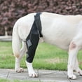 thumbnail image 6 of Rygai Dog Knee Brace Dog Knee Rear Leg Brace with Fastening Strap Wear Resistant Ultralight Adjustable Dog Hind Leg Brace Pet Supplies., 6 of 19