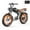 Black; Brown, variant on Emoko C93 750W 20x4.0" Fat Tire Electric Bike for Adults, 48V 20Ah Ebike 19.8 mph, 43 Miles UL2849