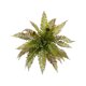 thumbnail image 2 of CaiYueKe Artificial Boston Fern Plants Bushes Fake Shrubs Bush Greenery Plants Faux Fern Plant for Outdoors UV Resistant Garden Plants or Home Office Desk Indoor Decor, 2 of 7