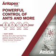 thumbnail image 3 of Antapex WSG Insecticide (10 Gram) Indoor & Outdoor Pest Control for Ants, Bed Bug, German Cockroaches, Fleas, Flies & Stink Bugs - Ant & Roach Killer, 40% Dinotefuran Concentrate, 3 of 6