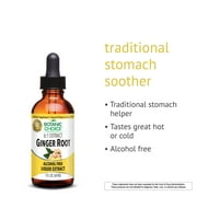 Botanic Choice Ginger Root Extract Liquid, Herbal Health Supplements- 1 Fl Oz