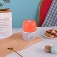 thumbnail image 2 of Jesscasday Mini Food Processor Electric Garlic Chopper Masher Machine Portable Meat Grinder Vegetable Garlic Chopper Mincers, 2 of 14