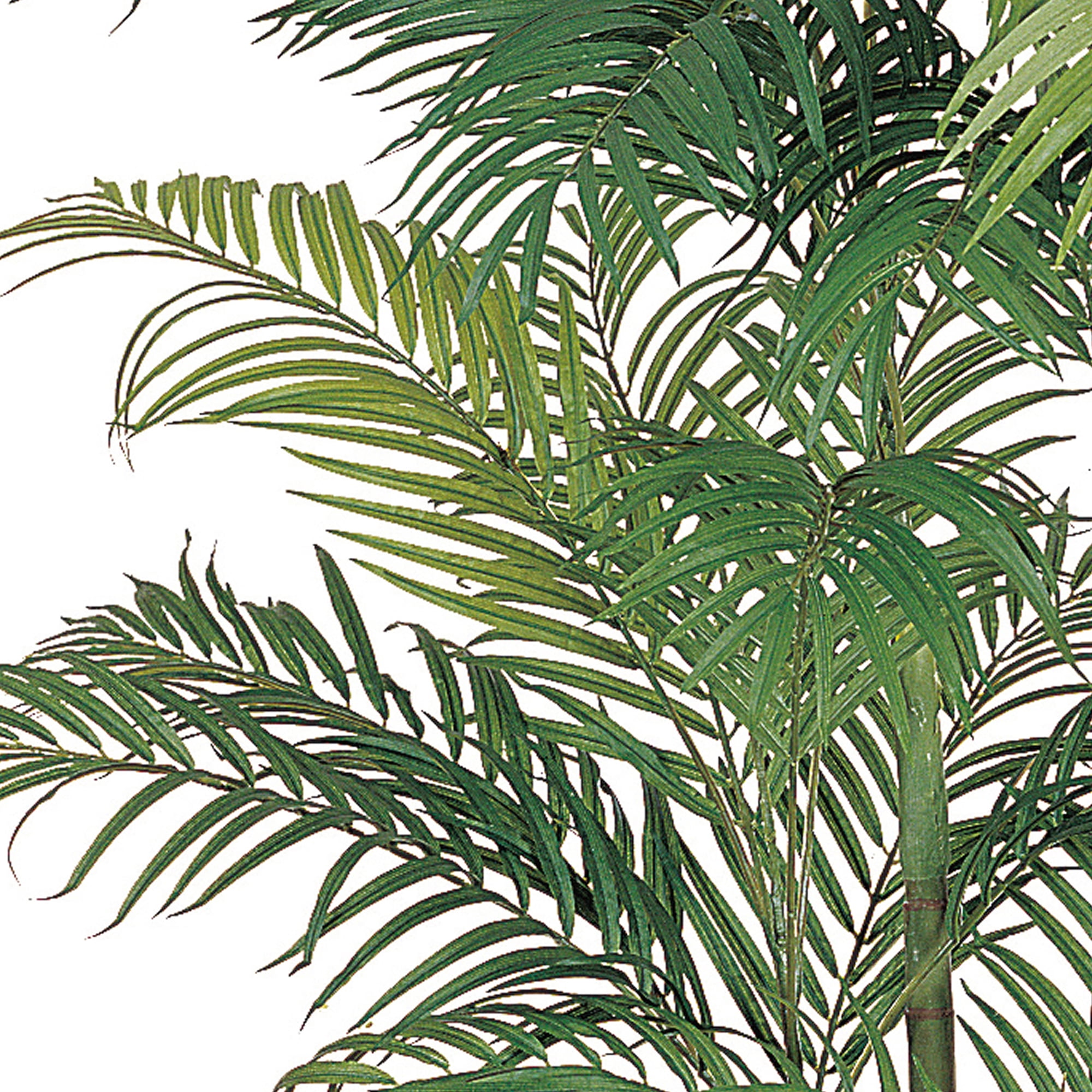 Nearly Natural 6 ft. Areca Silk Palm Tree