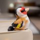 thumbnail image 1 of Muñeco de peluche con forma de nido de pájaro en miniatura, casa en el árbol, estilo kawaii, combinación de pájaro y nido de colores,, 1 of 5