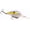 Chart Shad, variant on Strike King KVD 1.5 Flatside Chili Craw