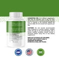 thumbnail image 4 of GI Revitalize -Digestive Support- 60 Capsules- Dr. Pelican, 4 of 5