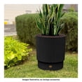 thumbnail image 4 of Maceta Plásticos La Ardilla Redonda D35 Negro, 4 of 4