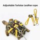 thumbnail image 5 of 2Pcs Mini Tortoise Skateboard with Harness Fun for Bearded Dragon Small Pets, 5 of 5