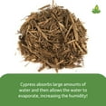 thumbnail image 3 of Josh's Frogs Super Cypress (10 quarts), 3 of 5