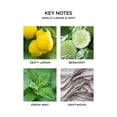 thumbnail image 3 of Reed Diffuser NEST New York Amalfi Limón y menta 175 ml, 3 of 7