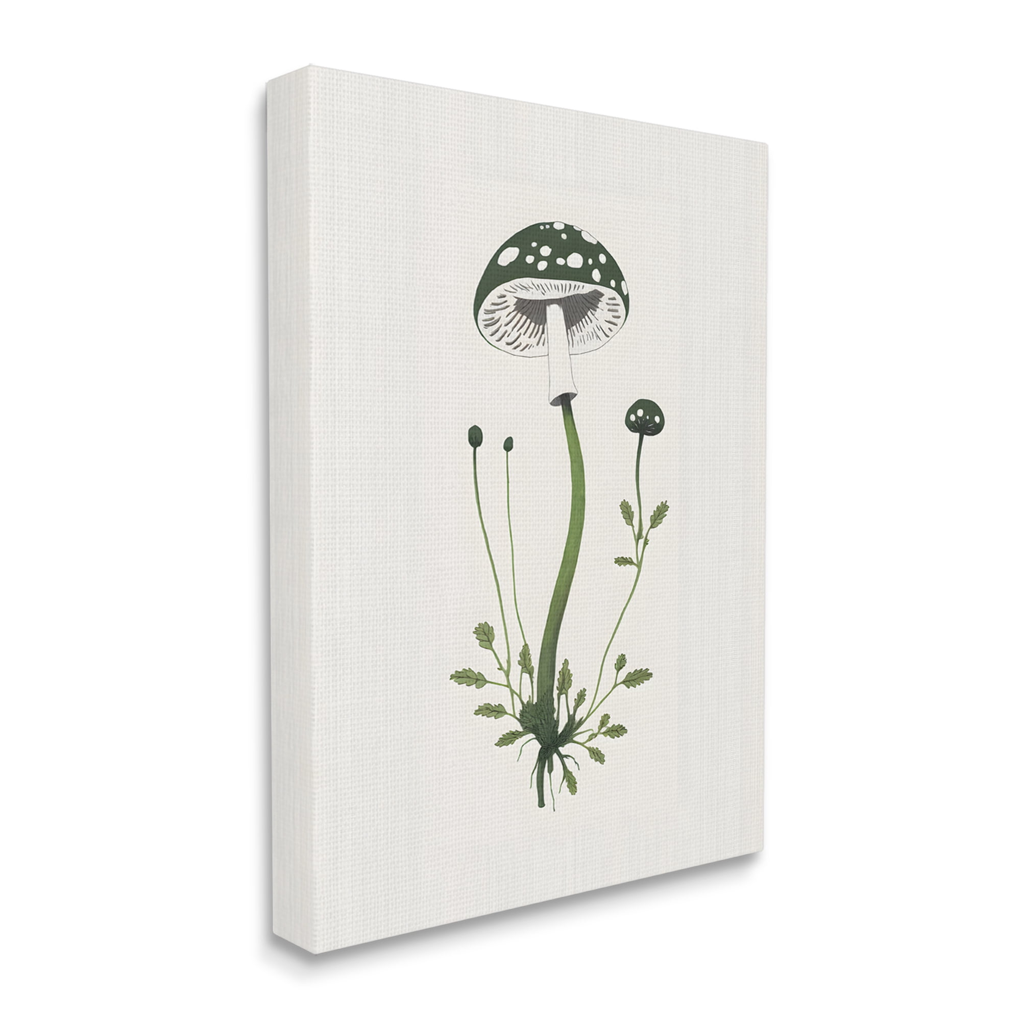 Stupell Industries Minimal Spotted Mushroom Botanical & Floral Painting Gallery Wrapped Canvas Art Print Wall Art, 30 x 40