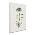 thumbnail image 4 of Stupell Industries Minimal Spotted Mushroom Botanical & Floral Painting Gallery Wrapped Canvas Art Print Wall Art, 16 x 20, 4 of 8