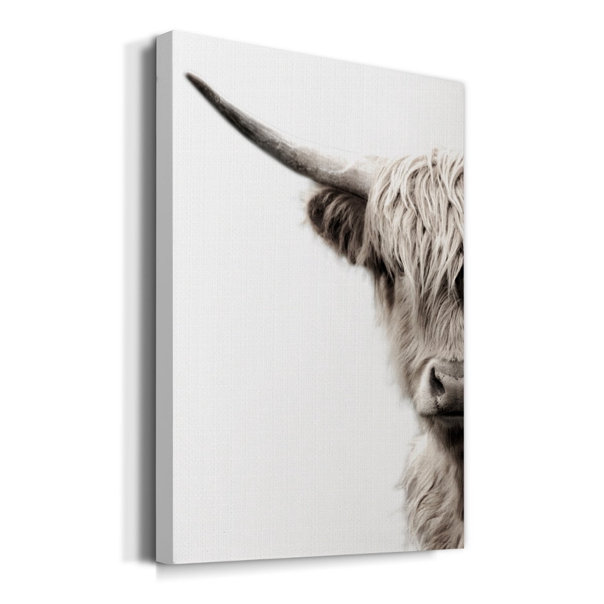 Highland Cattle Premium Gallery Wrapped Canvas - Ready to Hang - 32 x 48