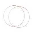 thumbnail image 1 of 2pcs Metal Floral Hoops Anillos Decoración de la pared de la pared Círculo de maneras de colgantes de pared para el cumpleaños Cuelas de plantas de la Diámetro 45 cm, 1 of 8