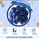 thumbnail image 3 of 100 Globos  12 Redondos Para Fiestas Xtellar Azul Oscuro, 3 of 3