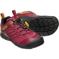 thumbnail image 5 of KEEN Youth Chandler CNX Shoe, 5 of 6