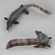 thumbnail image 4 of FELTECHELECTR 1 modelo de dinosaurio de plástico, simulación de Mosasaurus, juguete del período Jurásico, modelo de dinosaurio Mosasaurus antiguo, adorno de escritorio., 4 of 7