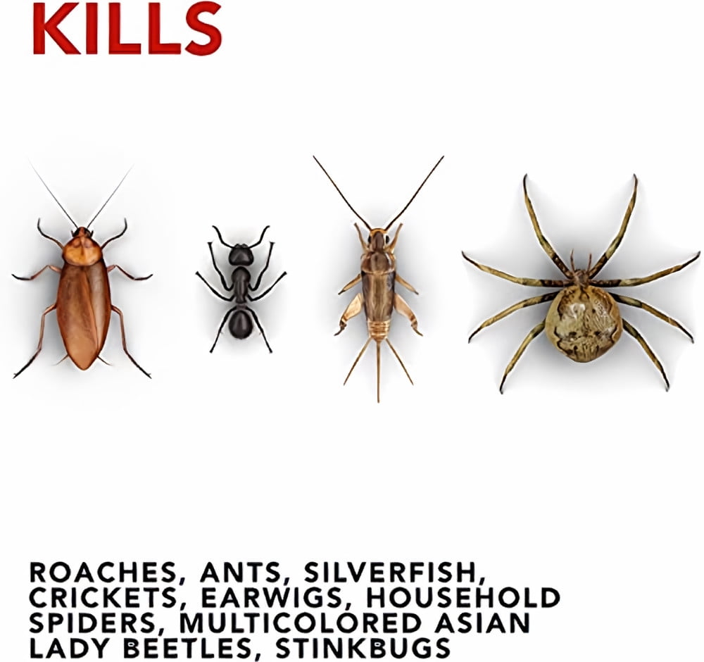 Raid® Ant & Roach Killer Lemon Scent (Pack of 6)