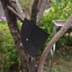 thumbnail image 4 of Bolsa de almacenamiento de papel de filtro de café de cuero impermeable para viajes al aire libre (negro) Likrtyny  Para estrenar, 4 of 5