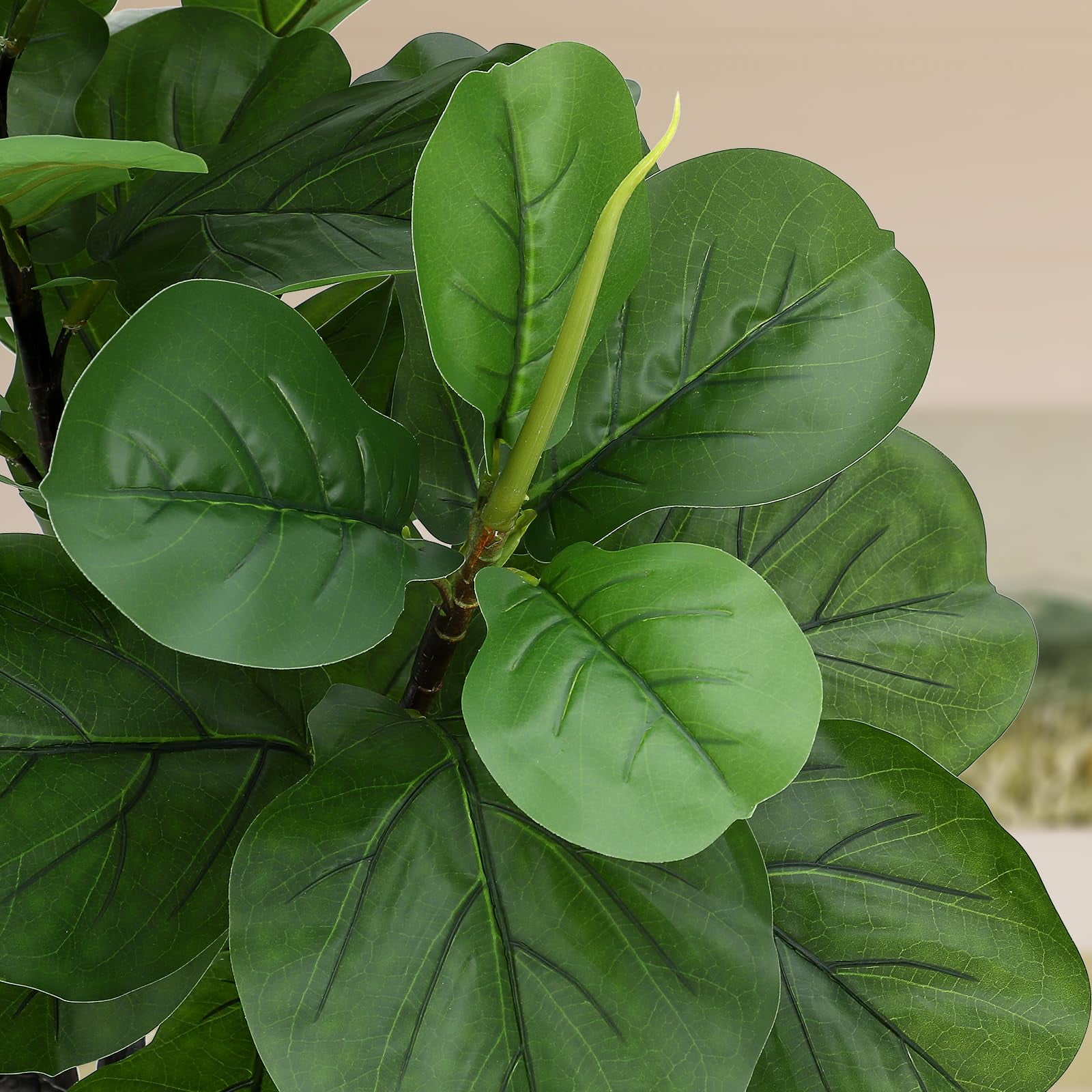 QinaQin Artificial Fiddle-Leaf Fig, 6-Foot Modern Potted Simulated Fiddle-Leaf Fig with Dried Moss, Suitable for Living Rooms, Offices Or Porches