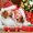 C, variant on Christmas ATM And Bank Ziplock Bag Set Pull Out Clip With Bow Holiday Pull Out Kit for Christmas Holiday Birthday 4 Styles