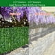 thumbnail image 4 of Toystoory Panel de valla Privacidad de imitación Valla de jardín Pantalla Patio al aire libre Decoración Cobertura Planta Vid Jardín y Patio N0.01, 4 of 6
