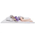 thumbnail image 1 of Re:Zero kara Hajimeru Isekai Seikatsu Emilia Puck 1/7 PVC figura de acción Sexy Cut Girl Anime Hentai Model Dolls Gift Toys QYM unisex, 1 of 2