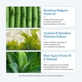 thumbnail image 4 of Mascarilla Dr.Althea Aqua Blue Hydration Vegan (paquete de 4), 4 of 7