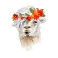 thumbnail image 3 of Loreth, Lanie 20x20 Black Modern Framed Museum Art Print Titled - Floral Llama II, 3 of 5