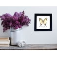 thumbnail image 3 of Real Framed Butterfly – Butterfly Moth Art Display Taxidermy Artwork Wall Décor, Natural Exquisite Collection, 1 Specimens in 5 x 5 frame (Fourbar Swordtail), 3 of 4