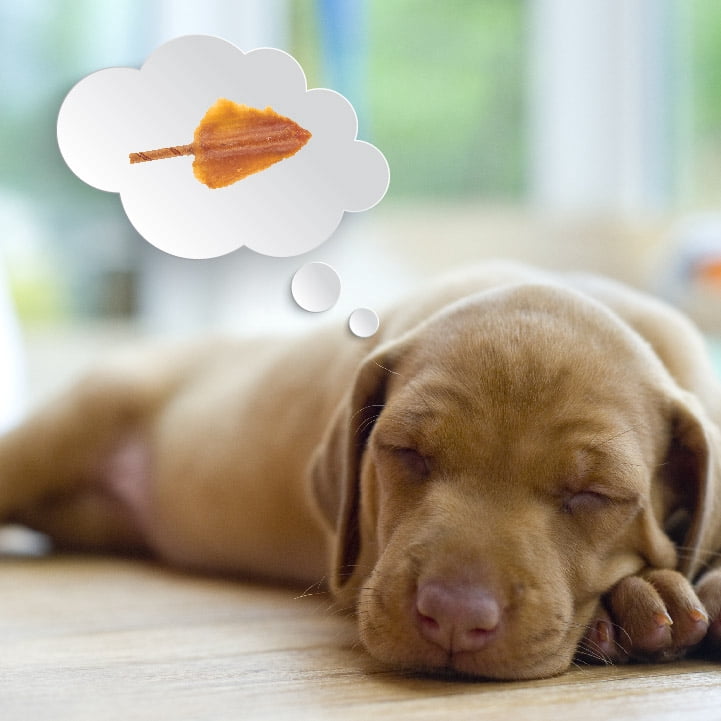 (5 pack) DreamBone Triple Flavor Wings Rawhide-Free Chews for Dogs, Made with Real Peanut Butter, 10 Count