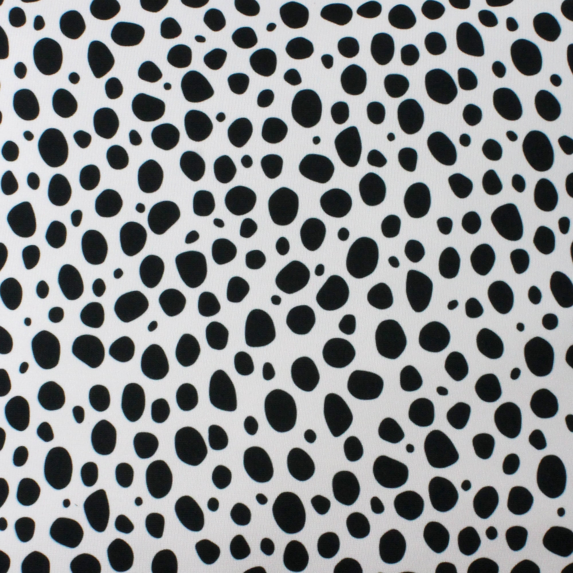 Everything Comfy Cheetah Print Decorative Throw Pillow, 16x16 Inch, White,
