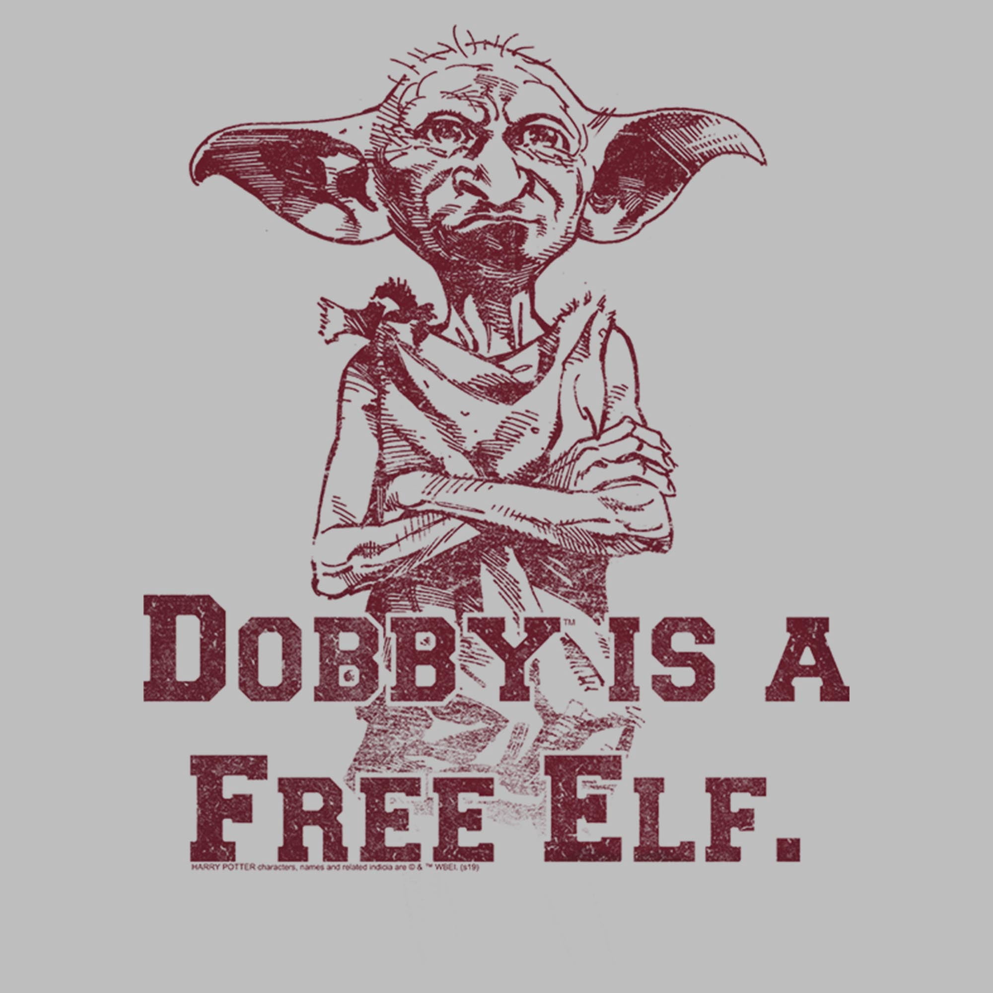 Men's Harry Potter Dobby is a Free Elf Pull Over Hoodie Athletic Heather Large