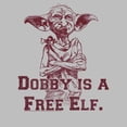 thumbnail image 2 of Men's Harry Potter Dobby is a Free Elf Pull Over Hoodie Athletic Heather Medium, 2 of 4