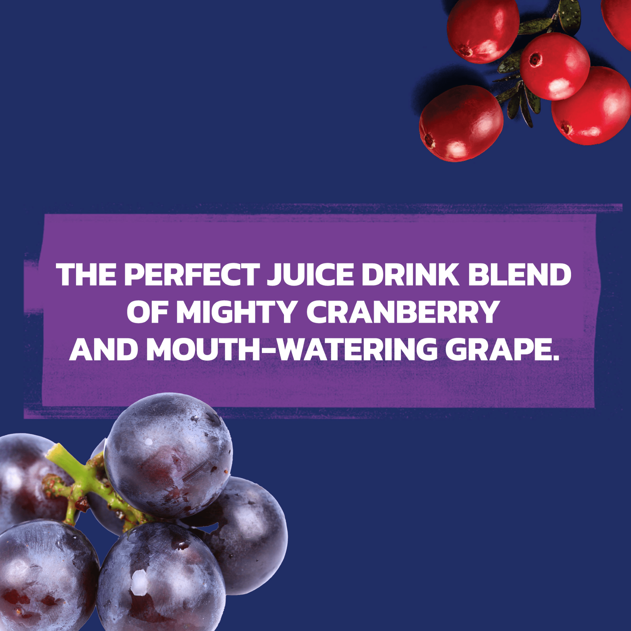 Ocean Spray® Cran-Grape® Juice Drinks, 10 fl oz Bottles, 12 Count