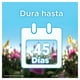 thumbnail image 3 of Repuesto de vaporizador de fragancias Air Wick Essential Mist renuévate 20 ml, 3 of 4