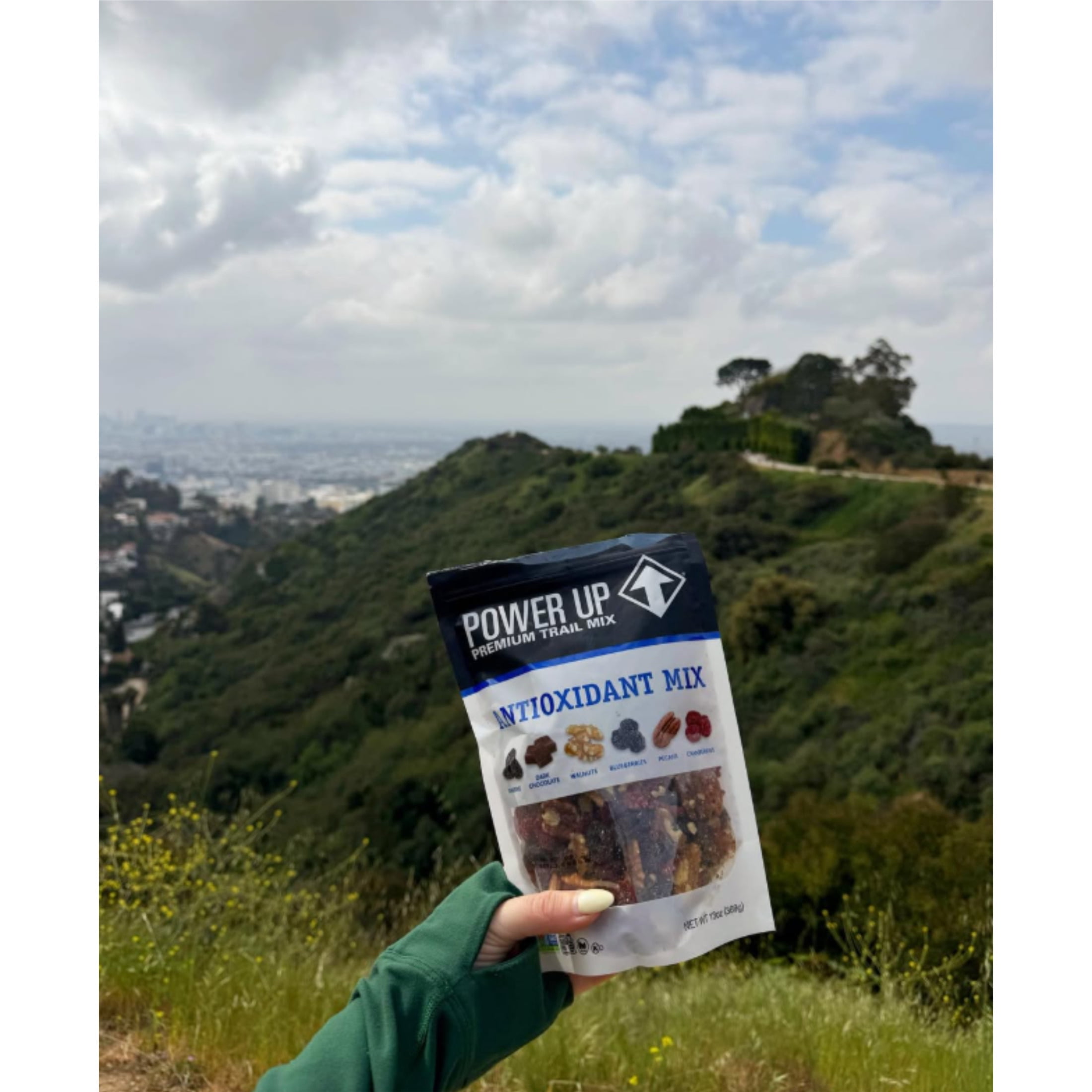 Power Up Antioxidant Trail Mix with Blueberries Cranberries