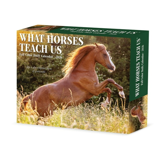 What Horses Teach Us 2026 Box Calendar, (Paperback)