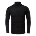 thumbnail image 1 of W Playera Hombre Camisa Casual Cuello Tortuga Manga Larga, 1 of 8