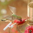thumbnail image 5 of Soimiss 5Pcs Upgraded Perch for Bird Feeder Convenient Feeding for Outdoors, 5 of 6