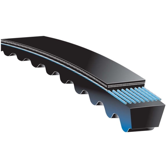 Accessory Drive Belt