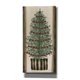 thumbnail image 1 of Epic Graffiti 'Wood Land Cedar Tree' by Cindy Jacobs, Canvas Wall Art, 12"x24", 1 of 2