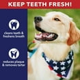 thumbnail image 5 of Pet Factory American Beefhide 3-4" Donuts Dog Chew Treats - Natural Flavor, 8 Count, 5 of 11