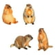 thumbnail image 2 of Figuras de acción de marmota, modelos de animales simulados, decoración de escritorio, estatuas de animales realistas, juguete educativo para regalos,, 2 of 8
